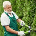 Korzyści i znaczenie regularnego terminowego przycinania drzew i krzewów dla zdrowia roślin